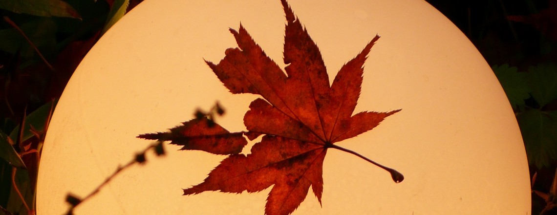 健精神 你聽過這些日本秋天的 季語 與 風物詩 嗎 旅飯 Pantravel