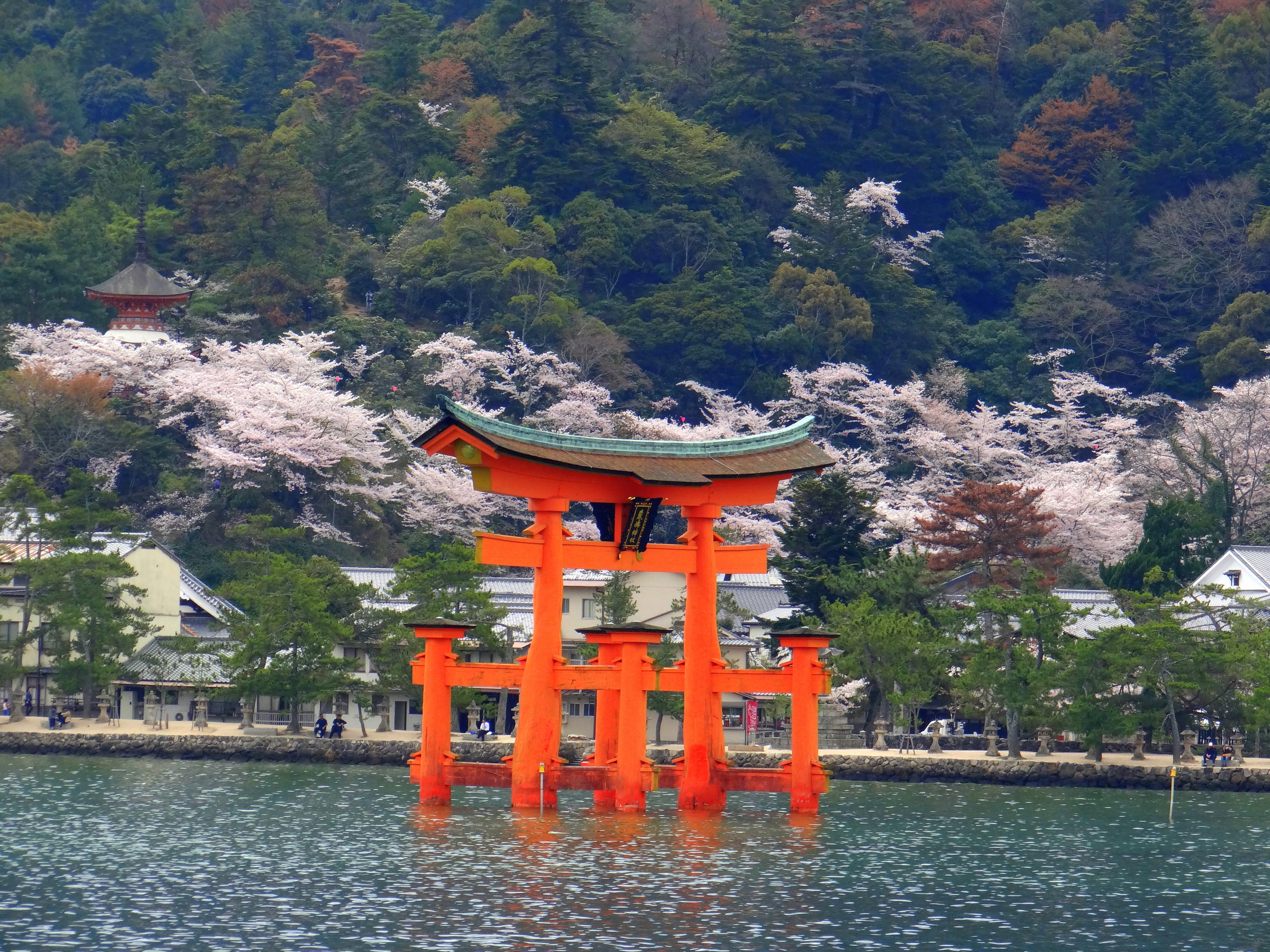 人與神共生的島嶼 世界文化遺產嚴島神社 旅飯 Pantravel