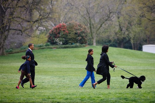 Obama_family_walks_with_First_Dog_Bo_4-14-09